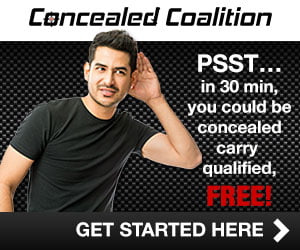 Banner 300 x 250 - Concealed Coalition