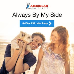 Banner 1080 x 1080 - American Service Pets