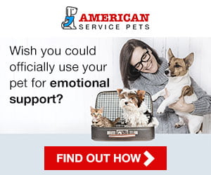 Banner 300 x 250 - American Service Pets
