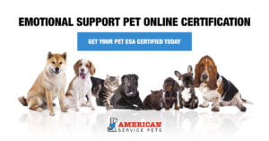 Banner2 1200 x 627 - American Service Pets